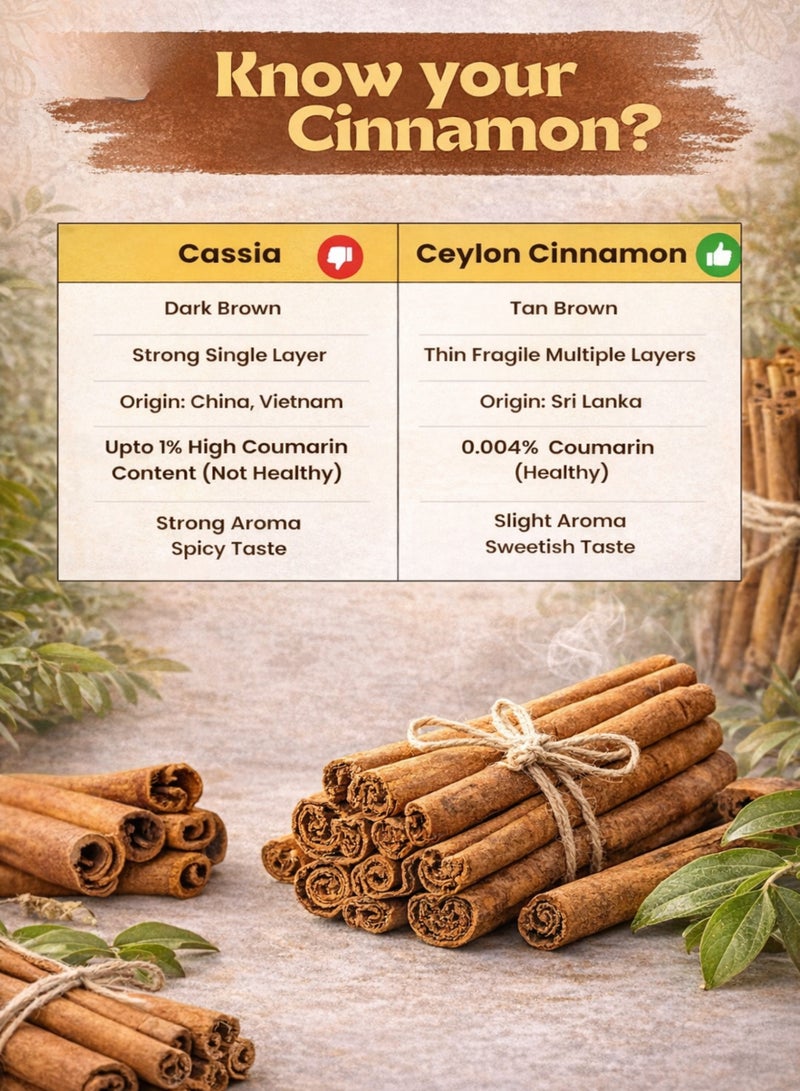 زهر أعواد القرفة السيلانية (قرفة سيلانية) – Cinnamomum verum | لحاء قرفة مجفف طبيعياً تحت أشعة الشمس بنسبة 100% | مادة نباتية فاخرة للاستخدام في البستنة والزراعة ومشاريع الأعشاب والاستخدامات الزخرفية والعطرية. - Image 4